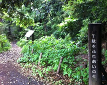 文京区立千駄木ふれあいの杜