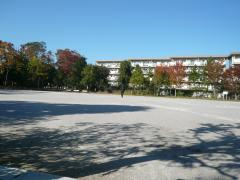 押立公園の画像1