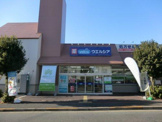 ウエルシア大田上池台店