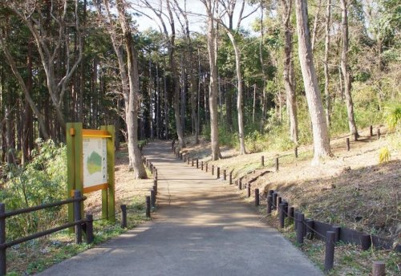 柏町市民の森の画像1