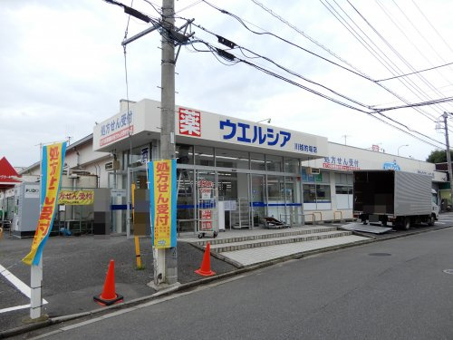 の画像