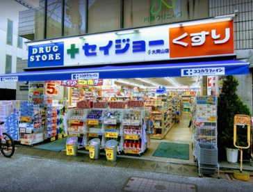 くすりセイジョー 大岡山店の画像1