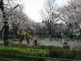 旭が丘中央公園