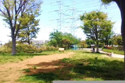 秋葉台公園の画像1