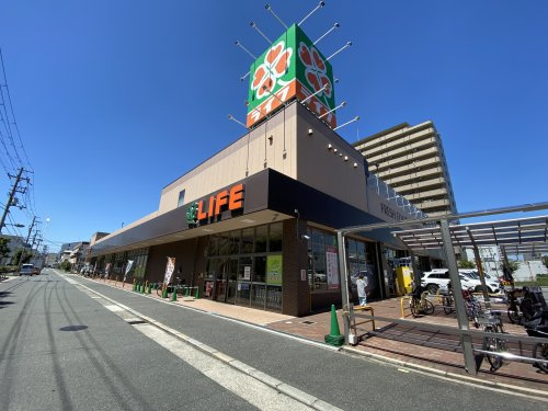 の画像