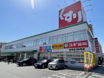 スギ薬局　林寺店