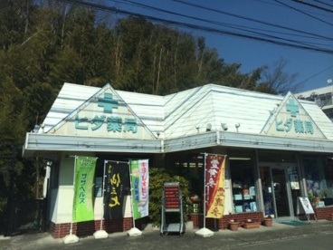 ヒダ薬局 柏尾店の画像1