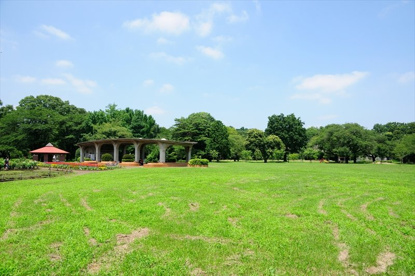 緑川北公園の画像1