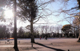 林試の森公園