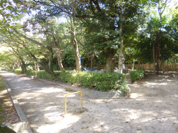 大宝公園の画像2