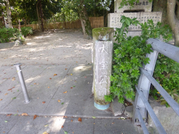 大宝公園の画像3