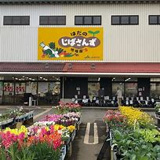 JAはだの はだのじばさんず