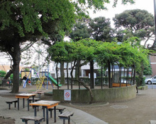 公園 文京区立西片公園