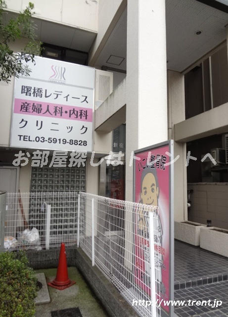 トレント周辺の地域情報 トレント