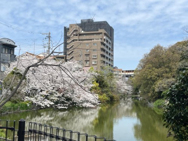 桃ケ池公園の画像2