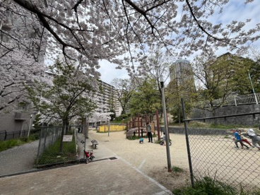金塚ふれあい西公園の画像1