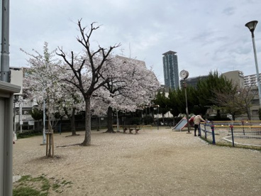 松崎公園の画像1