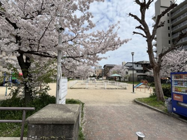 文の里公園の画像1