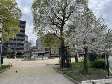 大道北公園の画像2