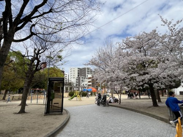 国分公園の画像1