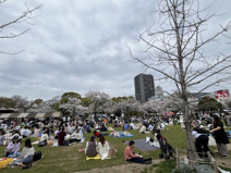 てんしば