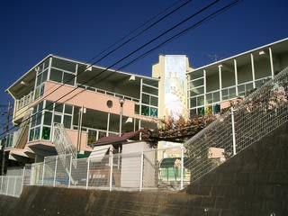 国学院幼稚園の画像1