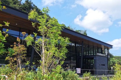 スターバックス コーヒー 葉山店の画像1