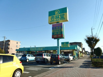 杏林堂向宿店