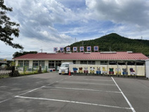 合歓の木幼稚園