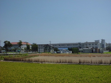 静岡県立 浜松江ノ島高校の画像2