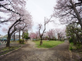 世田谷区立希望丘公園