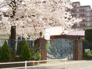 レオ保育園の画像1