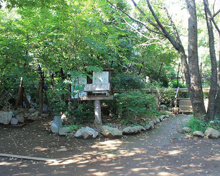 豊島区立小鳥がさえずる公園