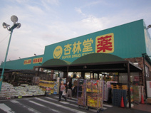  杏林堂薬局 天王店
