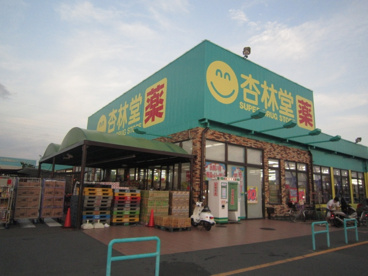  杏林堂薬局 天王店の画像2