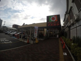 デイリーカナートイズミヤ 庄内店