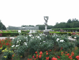 大沢雑木林公園