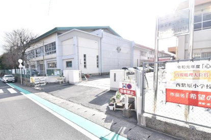鹿児島市立西紫原小学校の画像3