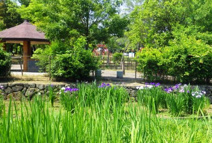舟渡池公園