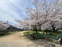 長池公園