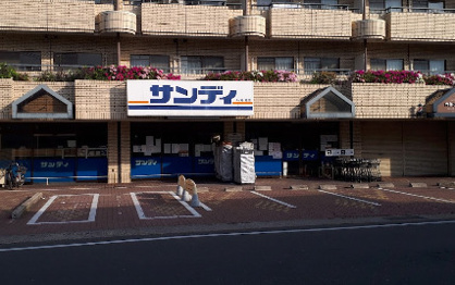サンディ 桂店の画像1