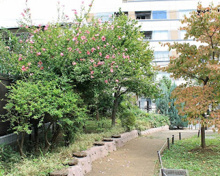 豊島区立上池袋一丁目ゆったり広場児童遊園