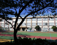 豊島区立豊成小学校