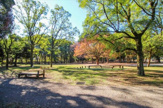 蘆花恒春園