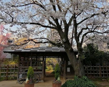 公園 私の庭みんなの庭