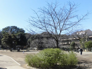 国立科学博物館附属自然教育園の画像1