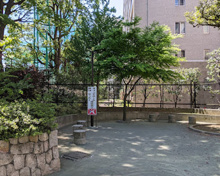 染井の杜広場