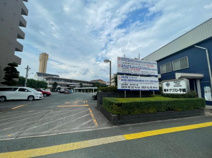 高校 私立熊本マリスト学園高校