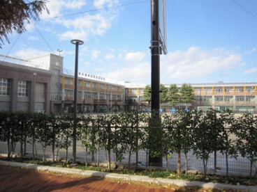 豊島区立　西池袋中学校の画像3