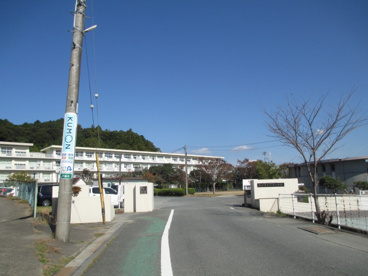 桜木小学校の画像1